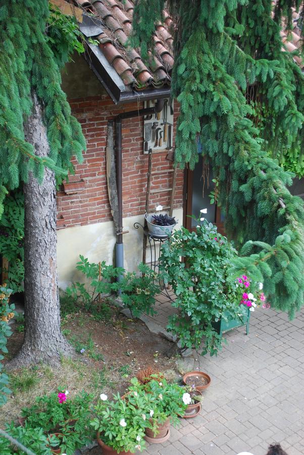 La Curandera Bed and Breakfast Rosta Exteriör bild